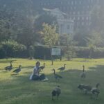 Shioli Kutsuna Instagram -