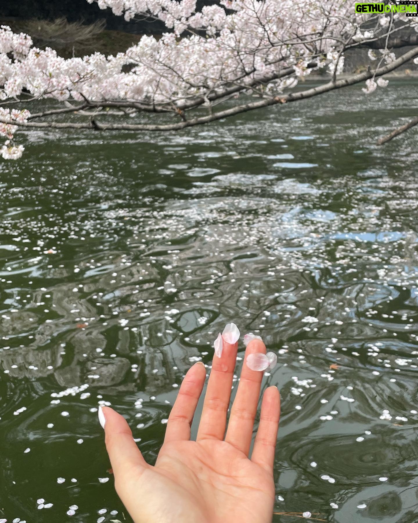 Shioli Kutsuna Instagram - ♡pinkfluffyhappiness♡intheair♡