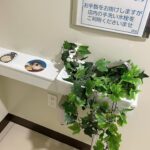 Shioli Kutsuna Instagram - ❀✿ʚ♡ɞ🏵️✧ంః🪷🌼✼✾ꕥ
