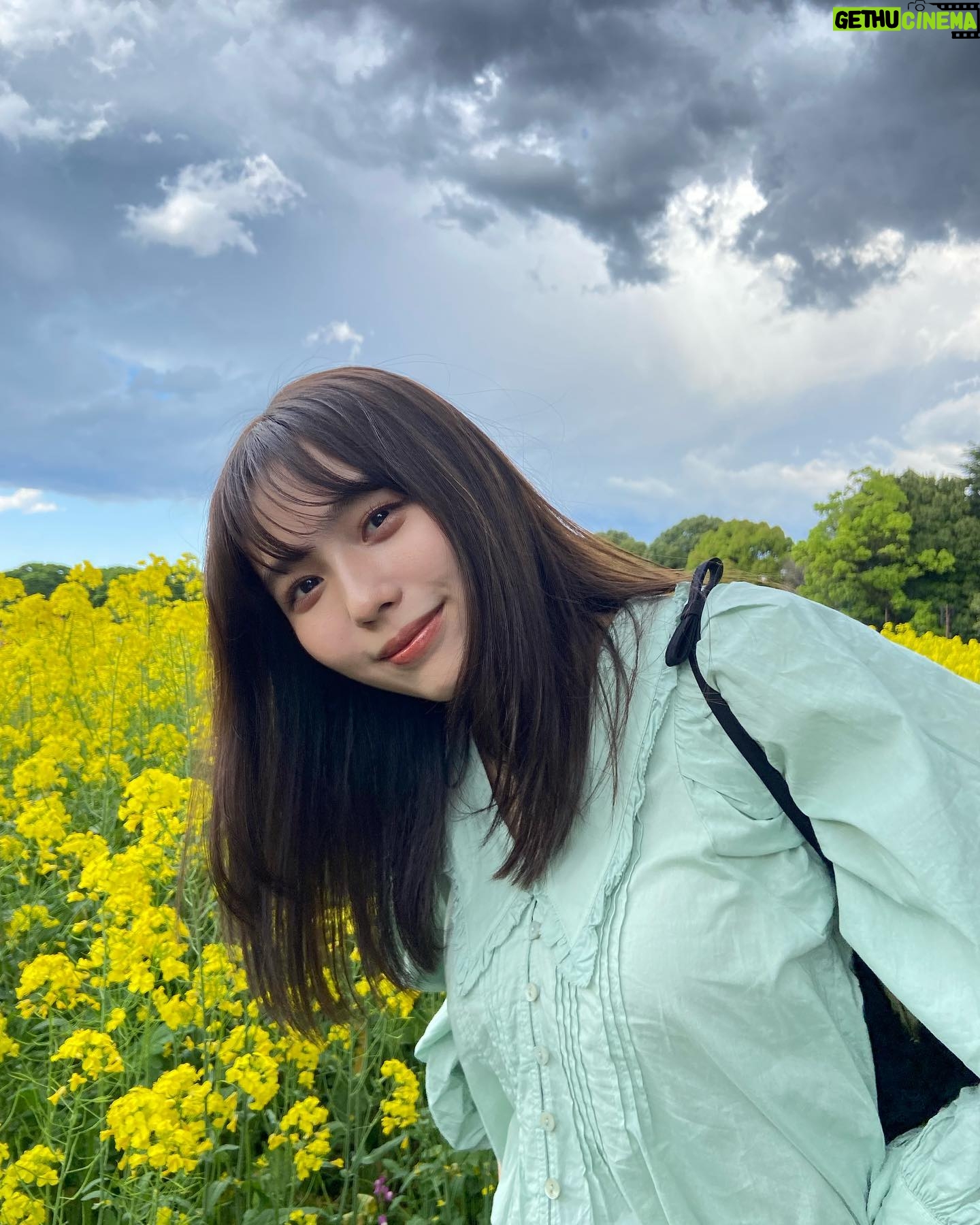 Shiori Akita - 10.6K Likes - ㅤ
お花畑に行った日🌷
きれいだった〜!