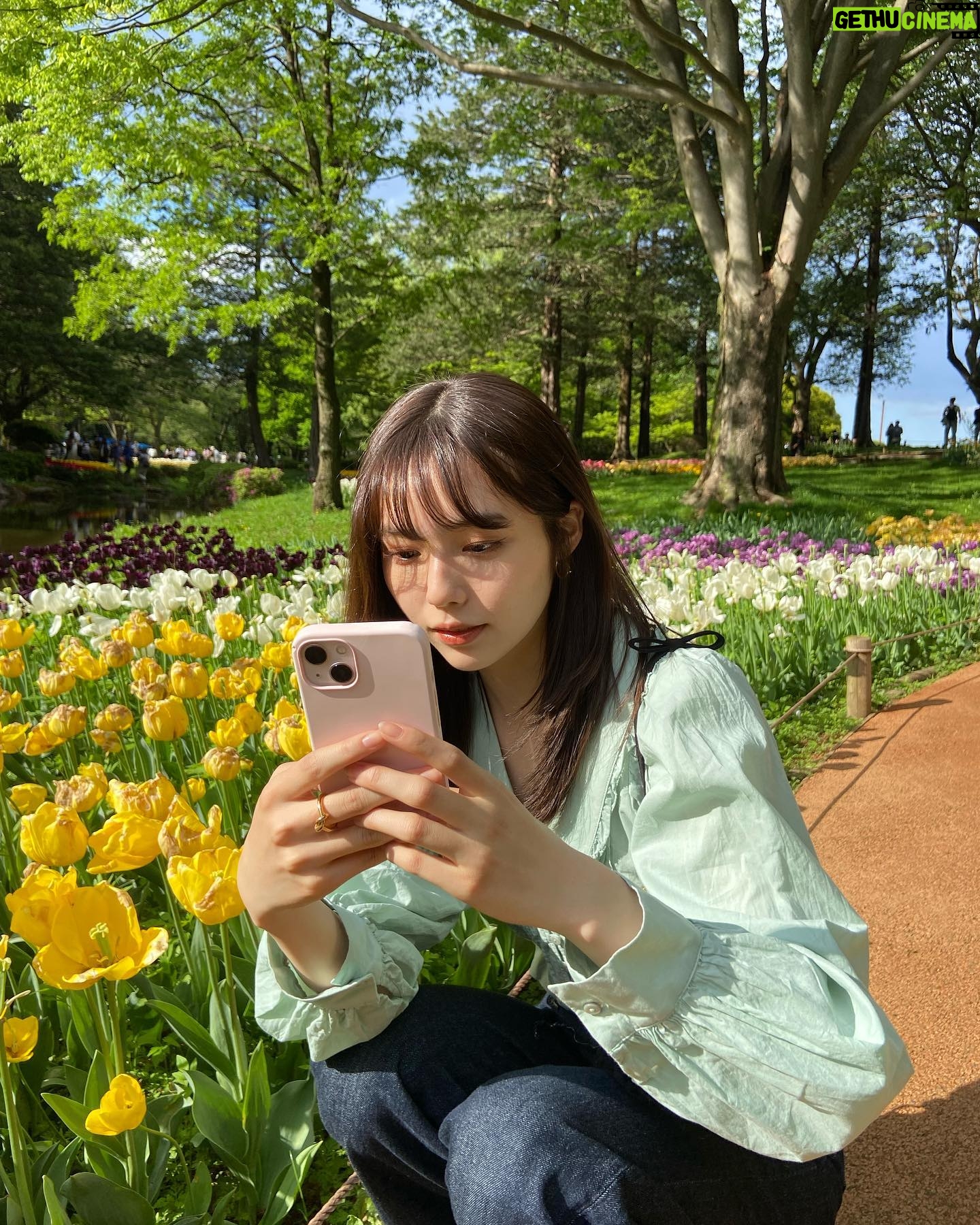 Shiori Akita - 10.6K Likes - ㅤ
お花畑に行った日🌷
きれいだった〜!