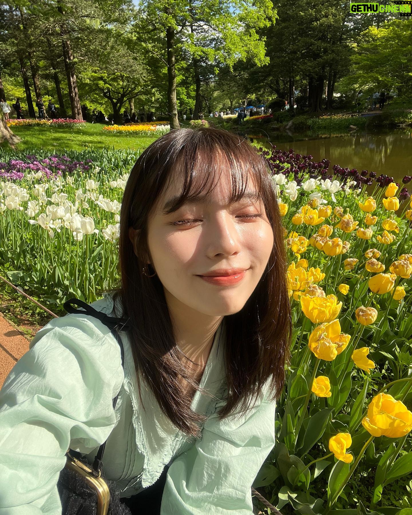 Shiori Akita - 10.6K Likes - ㅤ
お花畑に行った日🌷
きれいだった〜!