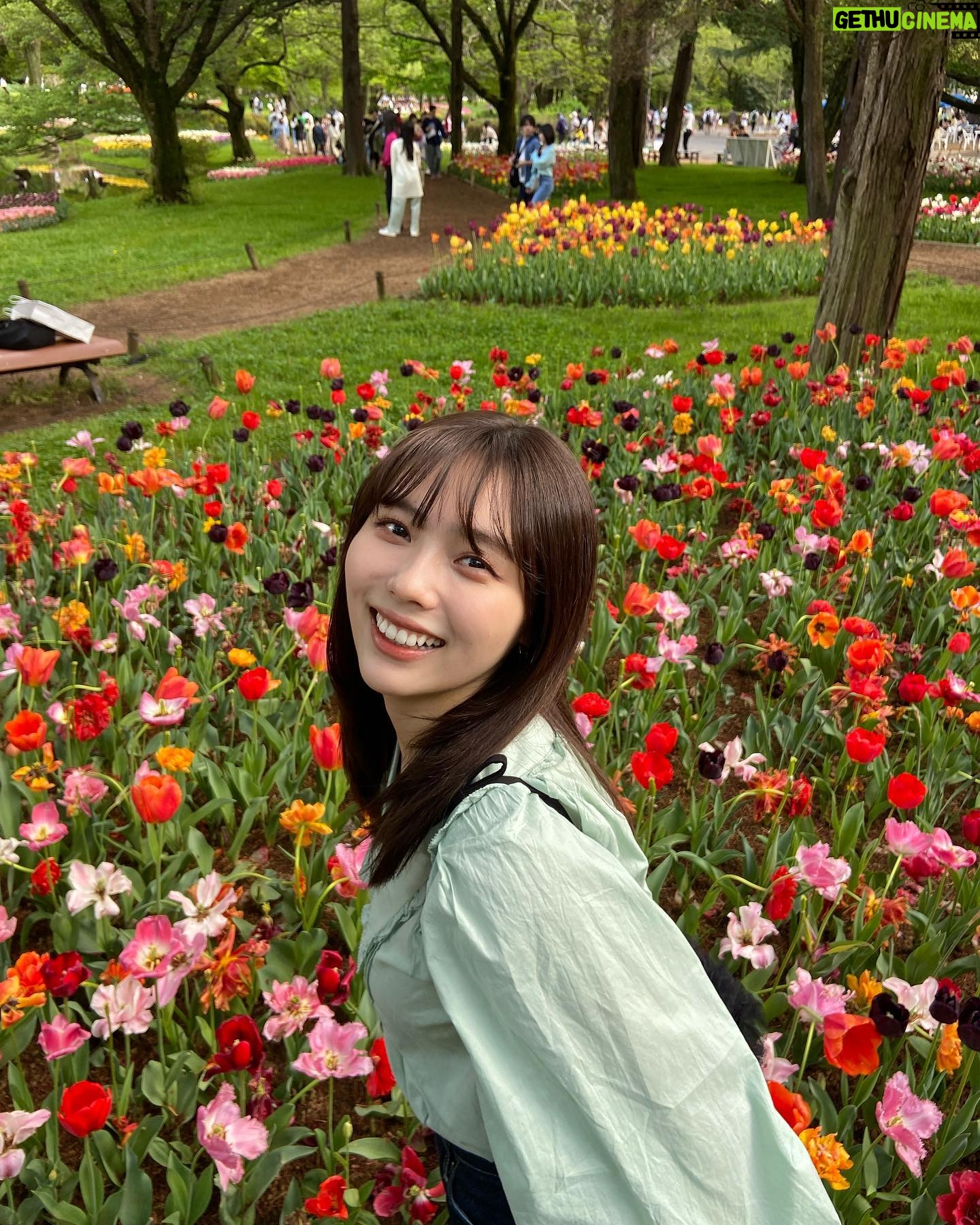 Shiori Akita - 10.6K Likes - ㅤ
お花畑に行った日🌷
きれいだった〜!