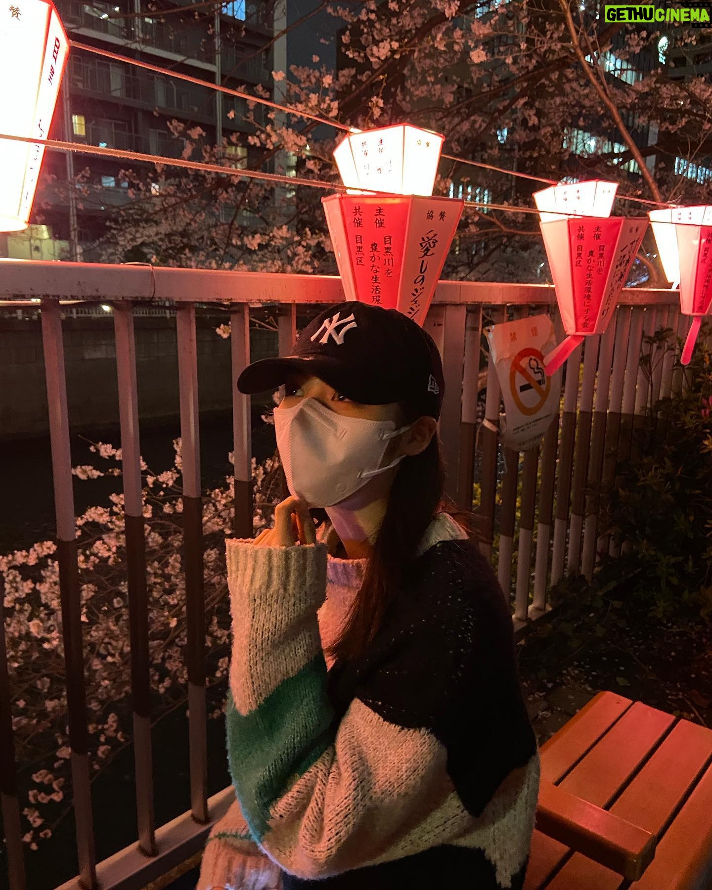 Shiori Akita - 7.6K Likes - ㅤ
夜桜を見に行ってきました〜
きれいだったー!!🌸