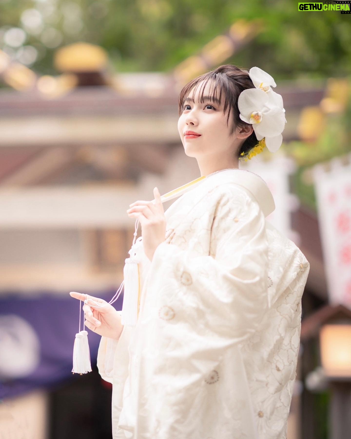 Shiori Akita - 14.6K Likes - ㅤ
猿田彦神社
婚礼広告のメインビジュアルを
@jyutaro_milk さんと勤めさせていただきました
サイトに沢山写真載ってるよー!