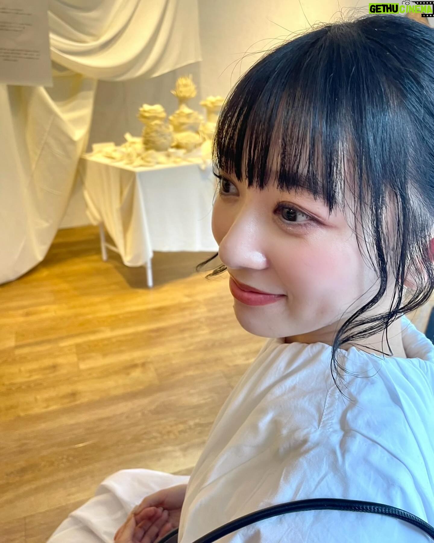 Shiori Sato - 3 Likes - TOU展の思い出写真🪻
