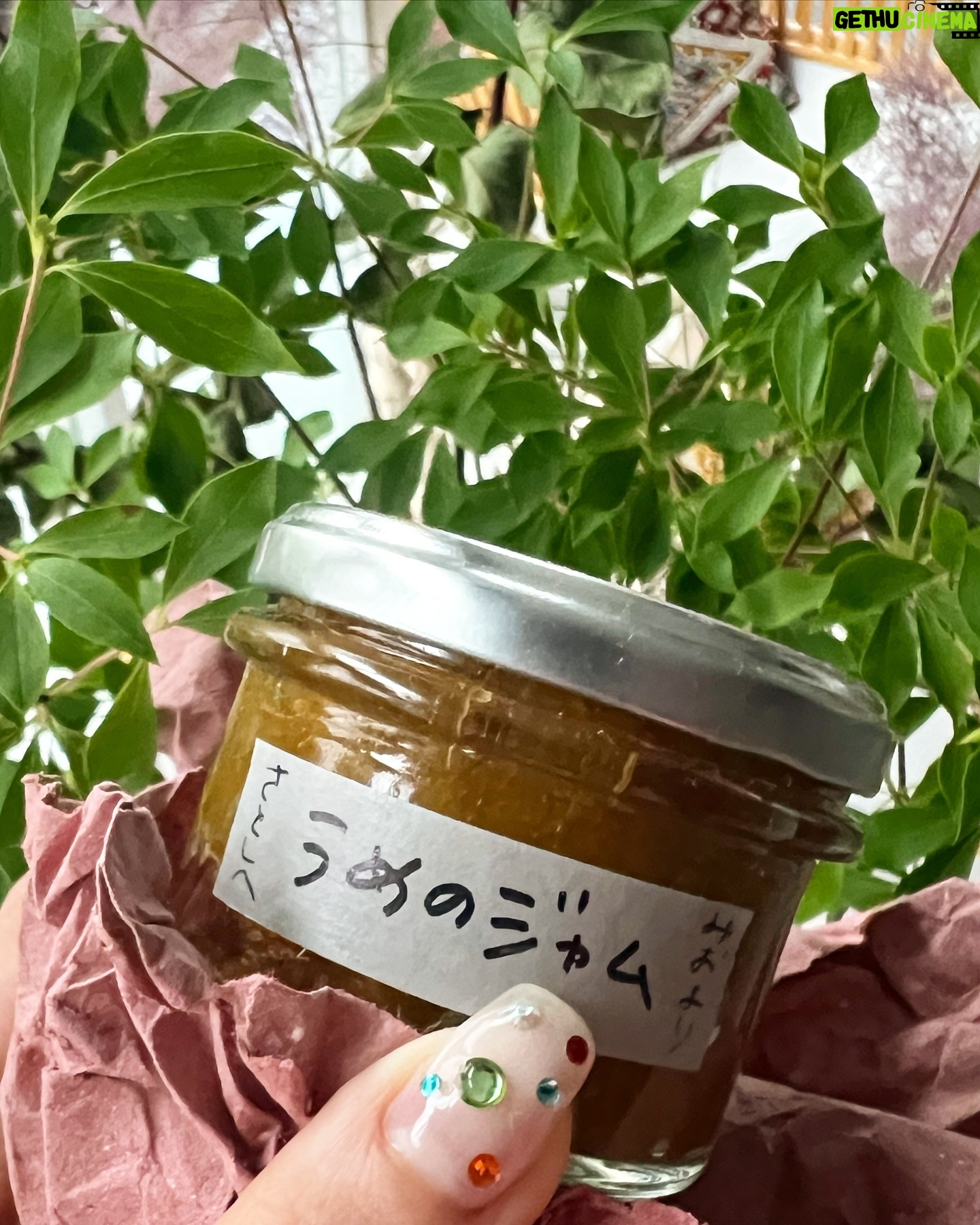 Shiori Sato - 3 Likes - わたしの最強ネイリストであり、心の癒しマイナスイオン、料理上手なミオさん @nailist_mio に新しい激かわネイルにしていただきました💅 そしてお手製無添加梅ジャムまで…!泣
夏になったぜネイル🍉 雨は毎日大変だけど爪が最強になったので、今日からまた毎日ハッピーです🥳
前回のネイル、真似してくれていた子がいて嬉しかったです!またぜひ^_^