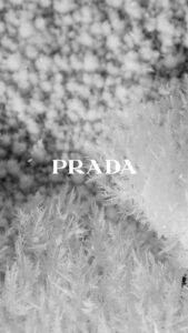 Shira Haas Instagram - @prada ❄️ new campaign 🤍 #PradaHoliday21 #prada