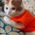 Shivani Tomar Instagram - Simba baby @simbatomar