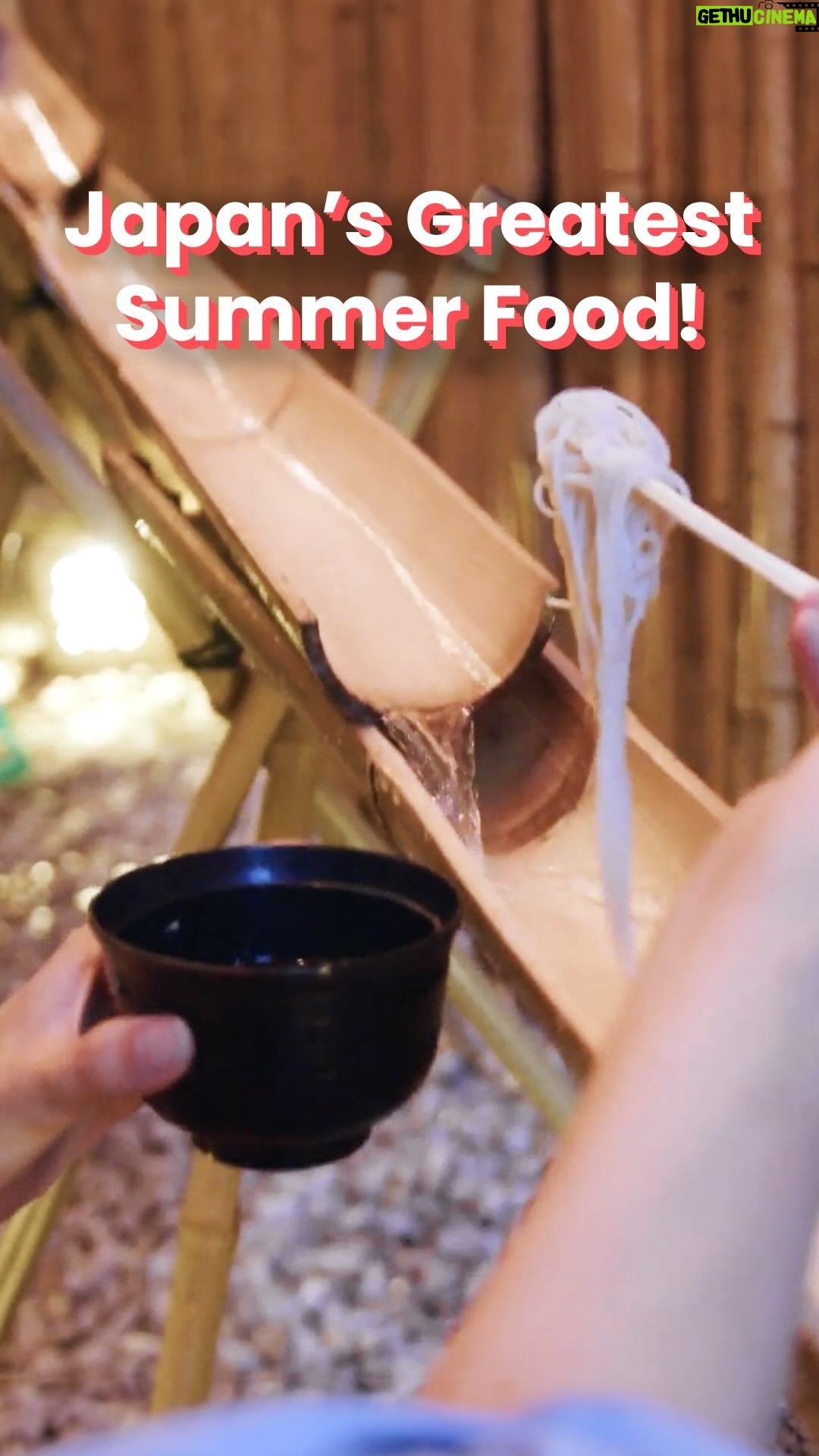 Shizuka Anderson - 3.5K Likes - Stay refreshed and beat the heat with every slurp of Nagashi Somen! šāļø
šØYou must reserve the Nagashi Somen course online or over the phone! (you canāt order it on the spot)šØ
š - Mizutaki Hadano - Nagashi Somen course
Full video is up on our Youtube, be sure to check it out! ā
#japanesefood #japaneats #japantravel #japaneseculture #japantrip #japanfood #japan #japanesedessert #japanesesnacks #japanesecafe #tokyofood #instafood #tokyo #somen #japansummer #summer #å¤ #nippon #japon