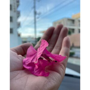 Shizuka Ishibashi Instagram - 💡最近の発見💡

・出し惜しみしない
「これをもらったからこれだけ返す」とか対価ではないやりとり　その方が返ってこなくてもあげた喜びだけが残る
・疲れすぎないこと
心と身体が疲れすぎてると自分にも人にも良いことがない
・人のせいにしない
最終決定を自分でしないといつまでも後悔が残る　腹を括ると新しいパワーが出てくる

😽
自然と人にいろんなことを教えてもらった8月でした。
あと、踊ることは素晴らしいことだ。

☀️