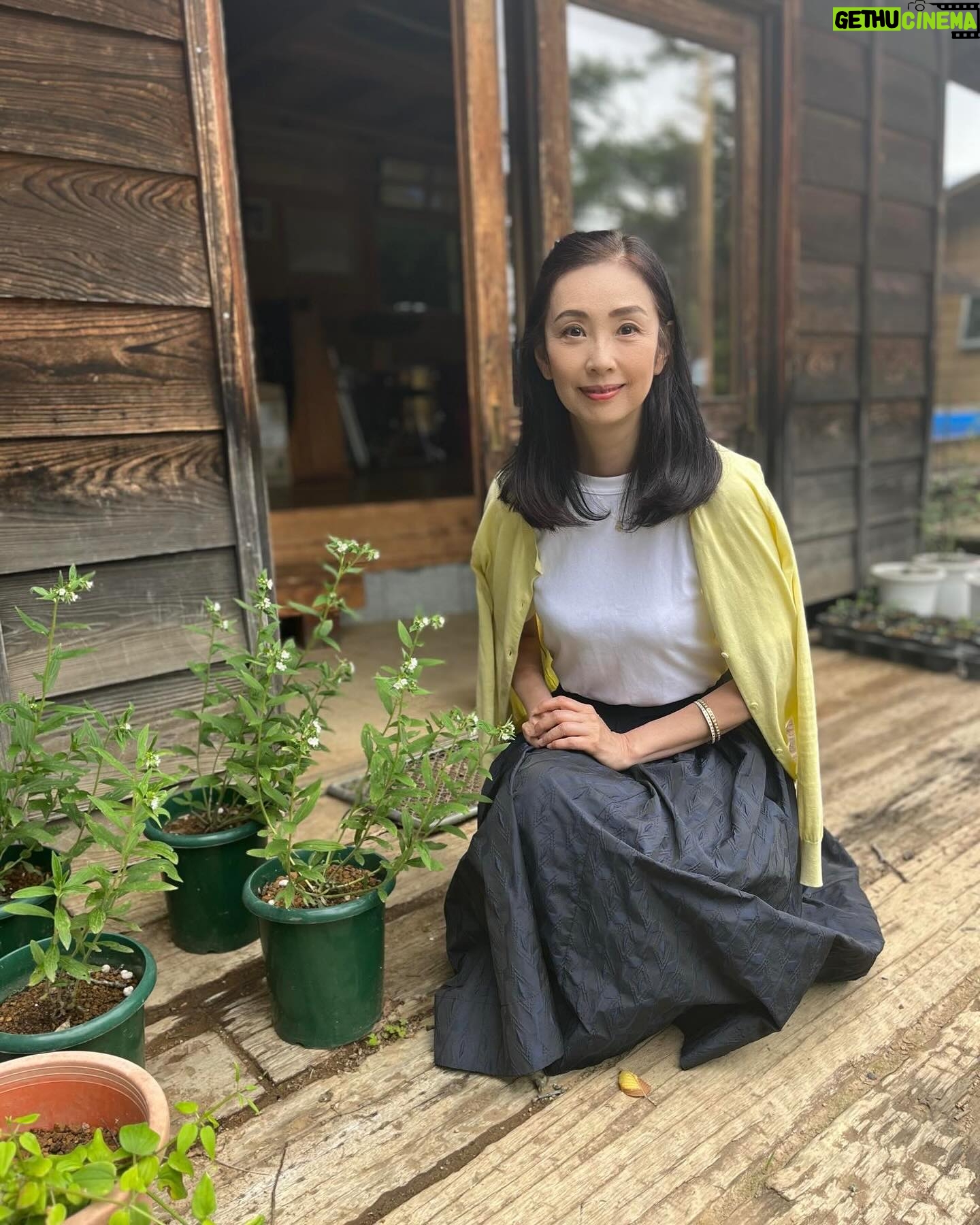 Shoko Tamura - 3.6K Likes - 先日、檜原村でムラサキ科の多年草「紫草(むらさき)」を育てていらっしゃる方の素敵な古民家のお家に伺って、紫草を見せていただきました。
わたしの横の小さな白い花がそれです。
昔は各地で自生し、万葉集などで詠まれて、染物に使われていたそうですが、現在は絶滅の危機にひんしているそうです。
個性的で素敵な活動をされている方が多い村で、いろいろお話を伺うのも楽しい😊
#檜原村 #紫草#hinohara #okutama
@theateronetokyo#田村翔子#tokyo
