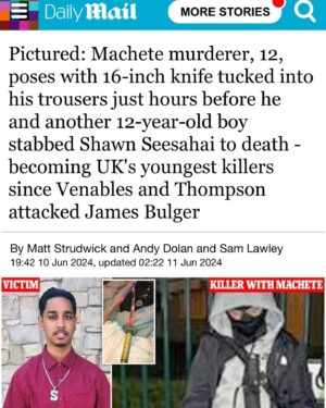 Shola Mos-Shogbamimu Instagram - 12 year old convicted murderers of 19 year old Shawn Seesahai should be named & identities revealed. I never usually hold parents responsible for criminality of their kids but for murderers this young - the parents of the convicted knife murderer should be prosecuted for criminal gross negligence in the care of their child & do prison time for his purchase/possession of a weapon utilised in a murder. I know I’m angry but this is such a shocking evil senseless murder by children it’s hard to process. Every parent’s worst nightmare.