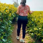 Shruthi Selvam Instagram – Just She♥️🤌🫴 
.
#shruthiselvam #travel #réel #reelitfeelit #happiness #positivity #hills #hillstation