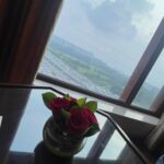Shruthi Selvam Instagram – Time for a little escape…….♥️ <<<< Delhi✨ 
.
.
#shruthiselvam #delhi #travel #peace #detox #traveldiaries