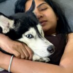 Shruti Reddy Instagram - My baby cute 🐺NALA 🤍 . . . . . #husky #nala #dogsofinstagram