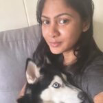 Shruti Reddy Instagram - My baby cute 🐺NALA 🤍 . . . . . #husky #nala #dogsofinstagram