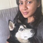 Shruti Reddy Instagram - My baby cute 🐺NALA 🤍 . . . . . #husky #nala #dogsofinstagram