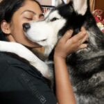 Shruti Reddy Instagram - My baby cute 🐺NALA 🤍 . . . . . #husky #nala #dogsofinstagram