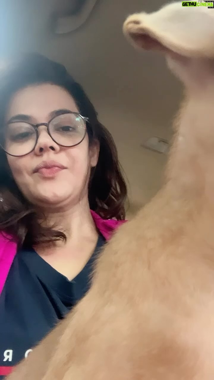 Shweta Gulati Instagram - I know you are happy where ever you are. I miss you and I’ll forever love you. 💕😭🐾