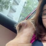 Shweta Gulati Instagram - I love Him 💕💕💕