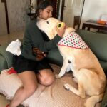 Shweta Gulati Instagram – GRATEFUL ❤️

#shwetagulati #daywellspent #happyholidays #itsthattimeofyear #lovelife #happiness #blessedlife