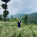 Shyamoupti Mudly Instagram - In the quiet dance of petals, spring whispers the song of life’s unstoppable renewal 🍁 #shyamoupti #instagram #instagood #mountains #life #peace #wednesday