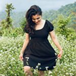 Shyamoupti Mudly Instagram - In the quiet dance of petals, spring whispers the song of life’s unstoppable renewal 🍁 #shyamoupti #instagram #instagood #mountains #life #peace #wednesday