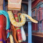 Sibel Aytan Instagram - Greece memories 🐍#nofilterneeded
