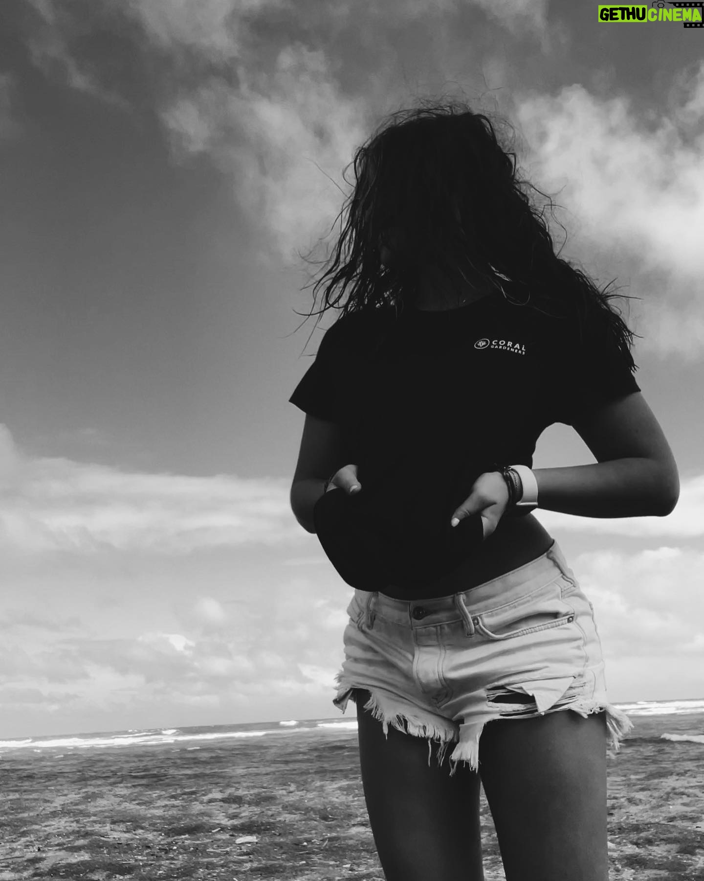 Siena Agudong Instagram - @coralgardeners 🖤 donate. adopt. share.