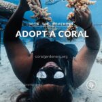 Siena Agudong Instagram - @coralgardeners 🖤 donate. adopt. share.