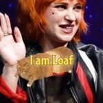 Sierra McCormick Instagram – I am loaf, you are loaf, we are loaf! 🍞 On this week’s episode of Scream Dreams we chat with actress guest is @sierramccormick ( ANT Farm, American Horror Stories, The Vast of Night, We Need to Do Something)!

Join @instacatherinec @deadmeatjames and @barbaracrampton on Youtube and Patreon, as we soak in the truth from one of the greats in horror history💡 #screamdreams #screamdreamspod #podcastaddict #horrorpodcast #podcast