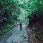 Sigi Wimala Instagram – Blue in the midst of greens