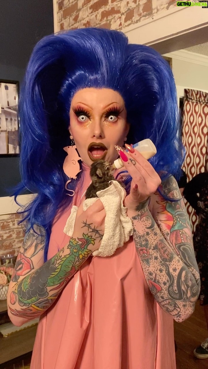 Sigourney Beaver - 15.1K Likes - 🐱✨🐱 idk if I was doing this right but I liked doing it🐱✨🐱