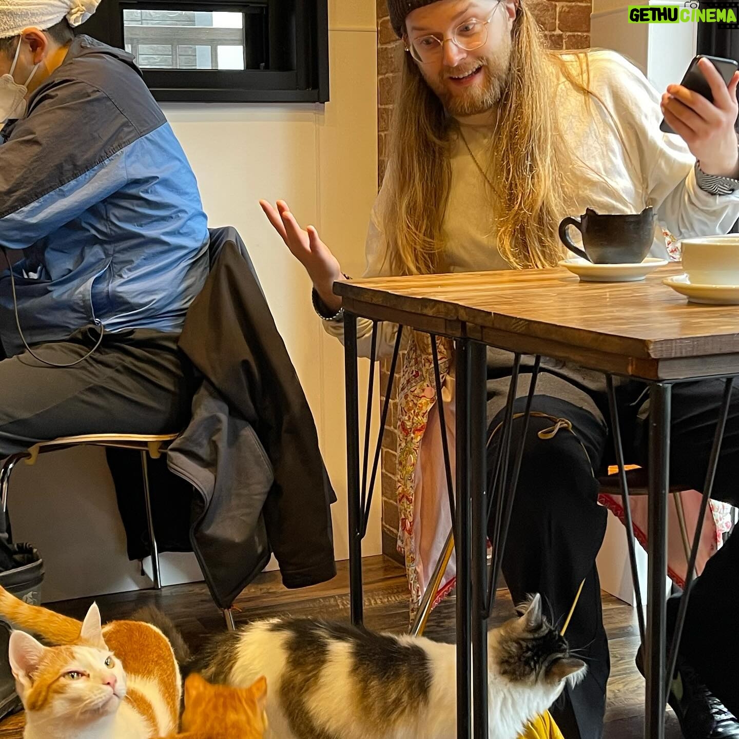 Sigrid Instagram - the trip made it out of the group chat 🫡😭 @askjells and I have been talking about making music abroad for so long, and Tokyo’s always been top of the list. 💕 so excited to be back here again! we’ve got a studio booked and about 50 saved spots on maps to explore. any recs pls lmk. in the words of Todd Terje: it’s album time ✨✨✨🐈🐈⬛✨✨