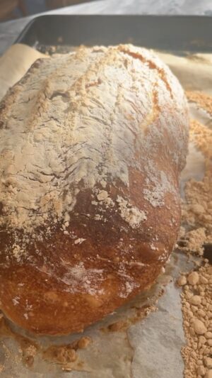 Silvia Colloca Instagram - Easy peasy no knead ciabatta!
Simple as mixing flour and water together. No knead bread. Mix in the morning, bake at night (or other way around) 😘

Ingredients 

450 g (3-3/4 cups) 00 or All purpose flour
350 ml (1 -1/4 cups) filtered water, at room temperature
1/2 scant teaspoon dry yeast
2 teaspoons  of salt

How to 
1. Mix flour, water and yeast together with a wooden spoon until combined.

2. Add salt and mix again. Your mixture will look and feel quite sticky. Cover the bowl with a damp tea towel and let it prove for 10/14 hours, or until it’s grown three times bigger and looks bubbly. If you want to half the rising time, add more yeast , maybe 1 teaspoon or 1-1/2. 

3. Dust your cooking bench and your hands with flour and try to shape the sticky mix into a ball. Let it rest for 1/2 hour, covered in a kitchen towel generously dusted with semolina flour.

4. Turn the oven to 220 C (430 F).

5. Line an oven tray with baking paper 

6. Gently tip the risen dough in onto a tray lined with baking paper. Dust the top with extra flour and bake for 40 minutes or until dark golden and it sounds hollow when tapped. 
Cool on a rack before serving as the crumb needs to dry (if you cut it straight out of the oven, the crumb will be gummy)

😘