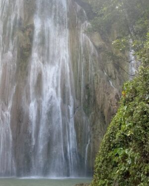 Silvia Marty Instagram - caribbean waterfall 🐚🦀🐡🦞