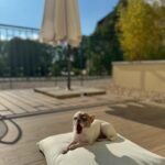 Simona Krainová Instagram - Další krásný den v Piešťanech❤️🙏 děkuju @thermiapalace #simplythebest @ensanahotels.sk
