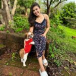 Simran Kaur Hundal Instagram - They are saying it’s #internationaldogday for me it’s every day as this little love bug is by my side @oliveakatidi my love ❤️ I’m truly fortunate 🧿 I have sooooooooo many pictures of Olive 🙈 . . . . . . . . . . . . . . . #internationaldogday #simranhundal #olive #shihtzu #dogsofinstagram #dog #dogs #nationaldogday #puppy #doglovers #dogstagram #instadog #doglife #dogoftheday #doglover #love #puppylove #dogday #puppiesofinstagram #adoptdontshop #dogsofinsta #doggo #pets #instagood #petsofinstagram #ilovemydog #photooftheday #instagram #dogphotography #cute
