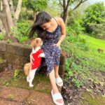 Simran Kaur Hundal Instagram - They are saying it’s #internationaldogday for me it’s every day as this little love bug is by my side @oliveakatidi my love ❤️ I’m truly fortunate 🧿 I have sooooooooo many pictures of Olive 🙈 . . . . . . . . . . . . . . . #internationaldogday #simranhundal #olive #shihtzu #dogsofinstagram #dog #dogs #nationaldogday #puppy #doglovers #dogstagram #instadog #doglife #dogoftheday #doglover #love #puppylove #dogday #puppiesofinstagram #adoptdontshop #dogsofinsta #doggo #pets #instagood #petsofinstagram #ilovemydog #photooftheday #instagram #dogphotography #cute