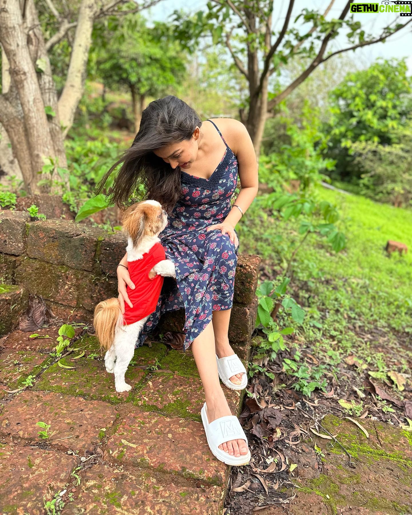 Simran Kaur Hundal Instagram - They are saying it’s #internationaldogday for me it’s every day as this little love bug is by my side @oliveakatidi my love ❤️ I’m truly fortunate 🧿 I have sooooooooo many pictures of Olive 🙈 . . . . . . . . . . . . . . . #internationaldogday #simranhundal #olive #shihtzu #dogsofinstagram #dog #dogs #nationaldogday #puppy #doglovers #dogstagram #instadog #doglife #dogoftheday #doglover #love #puppylove #dogday #puppiesofinstagram #adoptdontshop #dogsofinsta #doggo #pets #instagood #petsofinstagram #ilovemydog #photooftheday #instagram #dogphotography #cute