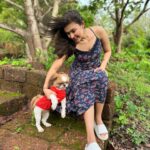 Simran Kaur Hundal Instagram - They are saying it’s #internationaldogday for me it’s every day as this little love bug is by my side @oliveakatidi my love ❤️ I’m truly fortunate 🧿 I have sooooooooo many pictures of Olive 🙈 . . . . . . . . . . . . . . . #internationaldogday #simranhundal #olive #shihtzu #dogsofinstagram #dog #dogs #nationaldogday #puppy #doglovers #dogstagram #instadog #doglife #dogoftheday #doglover #love #puppylove #dogday #puppiesofinstagram #adoptdontshop #dogsofinsta #doggo #pets #instagood #petsofinstagram #ilovemydog #photooftheday #instagram #dogphotography #cute