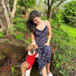 Simran Kaur Hundal Instagram - They are saying it’s #internationaldogday for me it’s every day as this little love bug is by my side @oliveakatidi my love ❤️ I’m truly fortunate 🧿 I have sooooooooo many pictures of Olive 🙈 . . . . . . . . . . . . . . . #internationaldogday #simranhundal #olive #shihtzu #dogsofinstagram #dog #dogs #nationaldogday #puppy #doglovers #dogstagram #instadog #doglife #dogoftheday #doglover #love #puppylove #dogday #puppiesofinstagram #adoptdontshop #dogsofinsta #doggo #pets #instagood #petsofinstagram #ilovemydog #photooftheday #instagram #dogphotography #cute