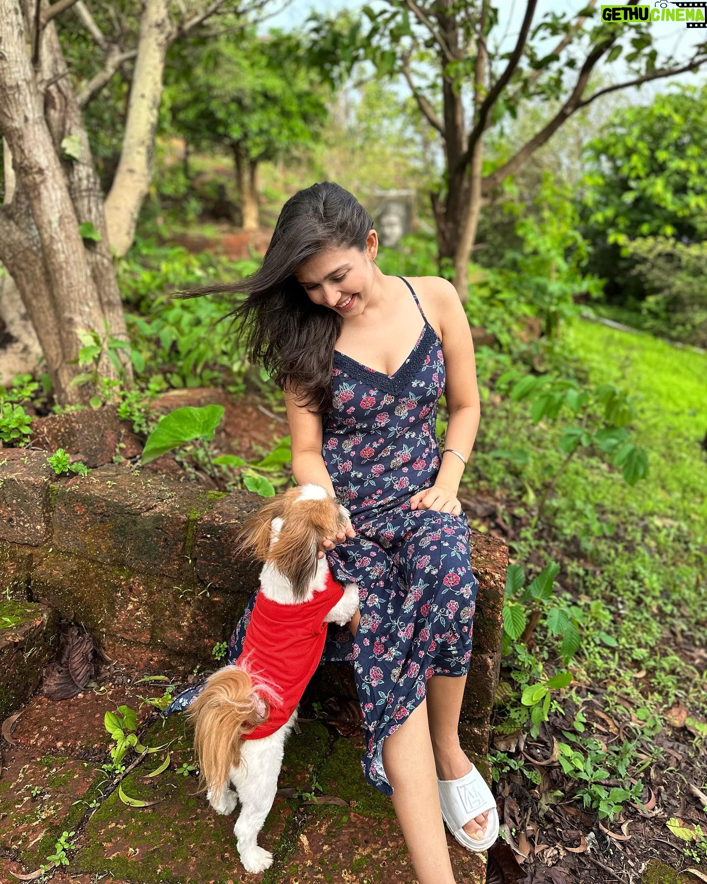 Simran Kaur Hundal Instagram - They are saying it’s #internationaldogday for me it’s every day as this little love bug is by my side @oliveakatidi my love ❤️ I’m truly fortunate 🧿 I have sooooooooo many pictures of Olive 🙈 . . . . . . . . . . . . . . . #internationaldogday #simranhundal #olive #shihtzu #dogsofinstagram #dog #dogs #nationaldogday #puppy #doglovers #dogstagram #instadog #doglife #dogoftheday #doglover #love #puppylove #dogday #puppiesofinstagram #adoptdontshop #dogsofinsta #doggo #pets #instagood #petsofinstagram #ilovemydog #photooftheday #instagram #dogphotography #cute