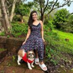 Simran Kaur Hundal Instagram - They are saying it’s #internationaldogday for me it’s every day as this little love bug is by my side @oliveakatidi my love ❤️ I’m truly fortunate 🧿 I have sooooooooo many pictures of Olive 🙈 . . . . . . . . . . . . . . . #internationaldogday #simranhundal #olive #shihtzu #dogsofinstagram #dog #dogs #nationaldogday #puppy #doglovers #dogstagram #instadog #doglife #dogoftheday #doglover #love #puppylove #dogday #puppiesofinstagram #adoptdontshop #dogsofinsta #doggo #pets #instagood #petsofinstagram #ilovemydog #photooftheday #instagram #dogphotography #cute