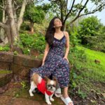 Simran Kaur Hundal Instagram - They are saying it’s #internationaldogday for me it’s every day as this little love bug is by my side @oliveakatidi my love ❤️ I’m truly fortunate 🧿 I have sooooooooo many pictures of Olive 🙈 . . . . . . . . . . . . . . . #internationaldogday #simranhundal #olive #shihtzu #dogsofinstagram #dog #dogs #nationaldogday #puppy #doglovers #dogstagram #instadog #doglife #dogoftheday #doglover #love #puppylove #dogday #puppiesofinstagram #adoptdontshop #dogsofinsta #doggo #pets #instagood #petsofinstagram #ilovemydog #photooftheday #instagram #dogphotography #cute