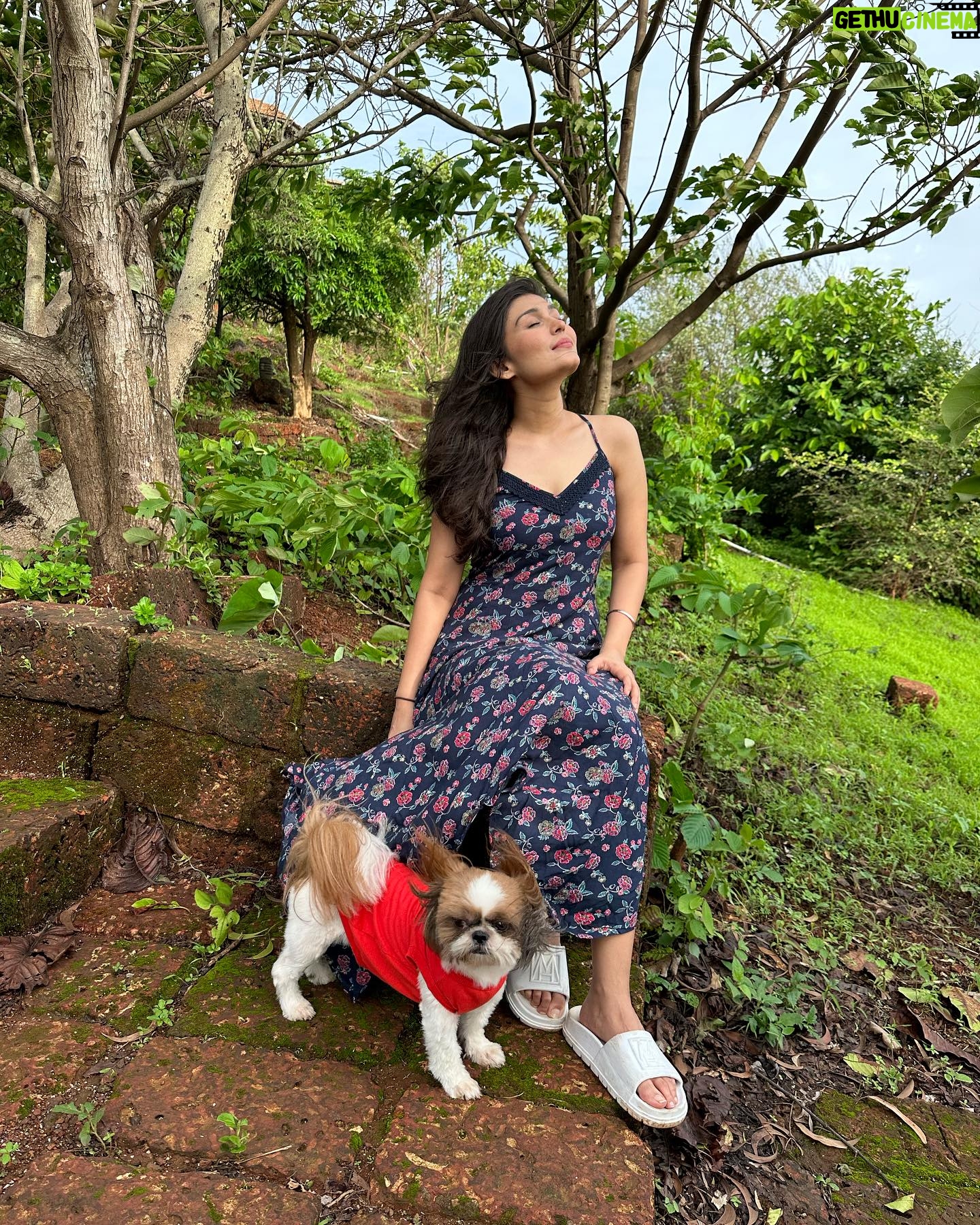 Simran Kaur Hundal Instagram - They are saying it’s #internationaldogday for me it’s every day as this little love bug is by my side @oliveakatidi my love ❤️ I’m truly fortunate 🧿 I have sooooooooo many pictures of Olive 🙈 . . . . . . . . . . . . . . . #internationaldogday #simranhundal #olive #shihtzu #dogsofinstagram #dog #dogs #nationaldogday #puppy #doglovers #dogstagram #instadog #doglife #dogoftheday #doglover #love #puppylove #dogday #puppiesofinstagram #adoptdontshop #dogsofinsta #doggo #pets #instagood #petsofinstagram #ilovemydog #photooftheday #instagram #dogphotography #cute