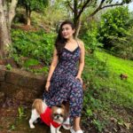Simran Kaur Hundal Instagram - They are saying it’s #internationaldogday for me it’s every day as this little love bug is by my side @oliveakatidi my love ❤️ I’m truly fortunate 🧿 I have sooooooooo many pictures of Olive 🙈 . . . . . . . . . . . . . . . #internationaldogday #simranhundal #olive #shihtzu #dogsofinstagram #dog #dogs #nationaldogday #puppy #doglovers #dogstagram #instadog #doglife #dogoftheday #doglover #love #puppylove #dogday #puppiesofinstagram #adoptdontshop #dogsofinsta #doggo #pets #instagood #petsofinstagram #ilovemydog #photooftheday #instagram #dogphotography #cute
