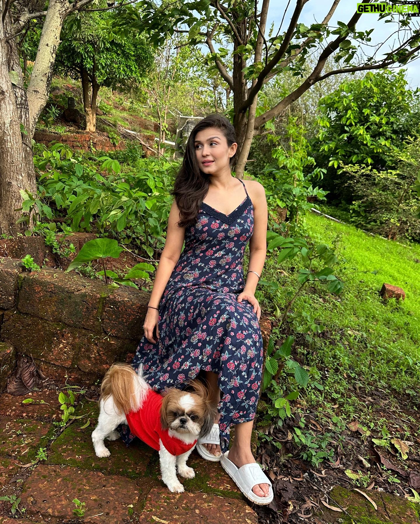Simran Kaur Hundal Instagram - They are saying it’s #internationaldogday for me it’s every day as this little love bug is by my side @oliveakatidi my love ❤️ I’m truly fortunate 🧿 I have sooooooooo many pictures of Olive 🙈 . . . . . . . . . . . . . . . #internationaldogday #simranhundal #olive #shihtzu #dogsofinstagram #dog #dogs #nationaldogday #puppy #doglovers #dogstagram #instadog #doglife #dogoftheday #doglover #love #puppylove #dogday #puppiesofinstagram #adoptdontshop #dogsofinsta #doggo #pets #instagood #petsofinstagram #ilovemydog #photooftheday #instagram #dogphotography #cute