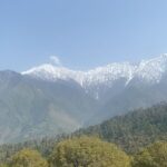 Simran Khan Instagram – Healed > Mountains > ✨

#travel #peace #mountain #peacewithin #himachal #travelphotography #instagood #instadaily #picoftheday